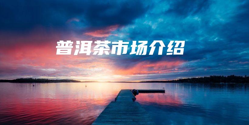 普洱茶市場介紹插圖