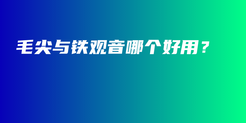 毛尖與鐵觀音哪個(gè)好用？插圖