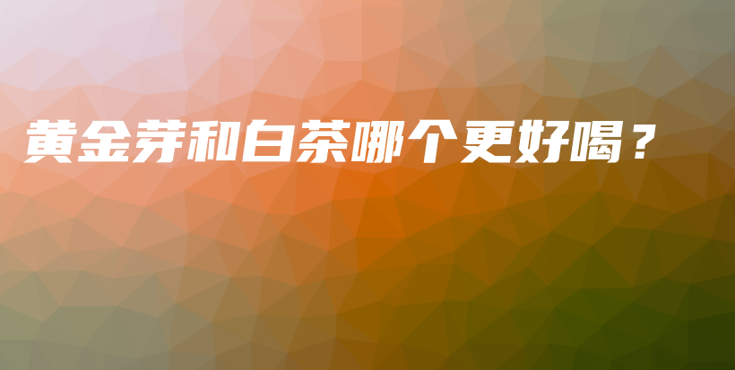 黃金芽和白茶哪個(gè)更好喝？插圖