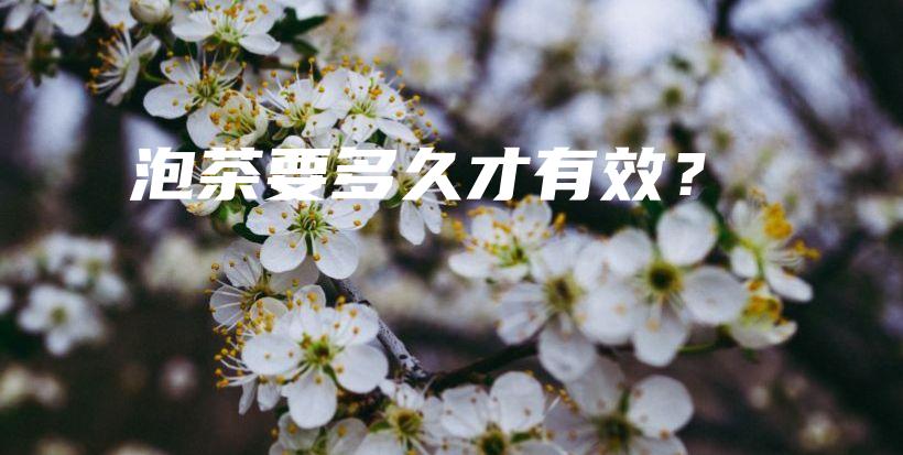 泡茶要多久才有效？插圖