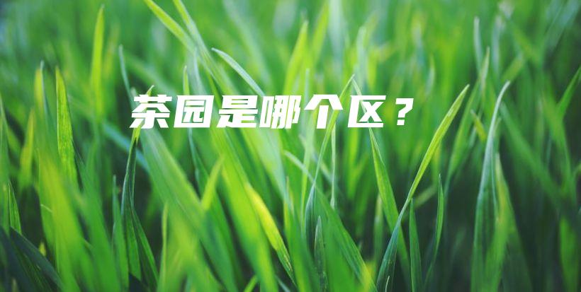茶園是哪個(gè)區(qū)？插圖