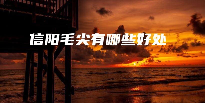 信陽毛尖有哪些好處插圖