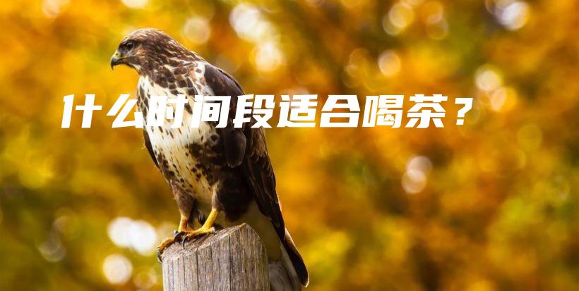 什么時間段適合喝茶？插圖