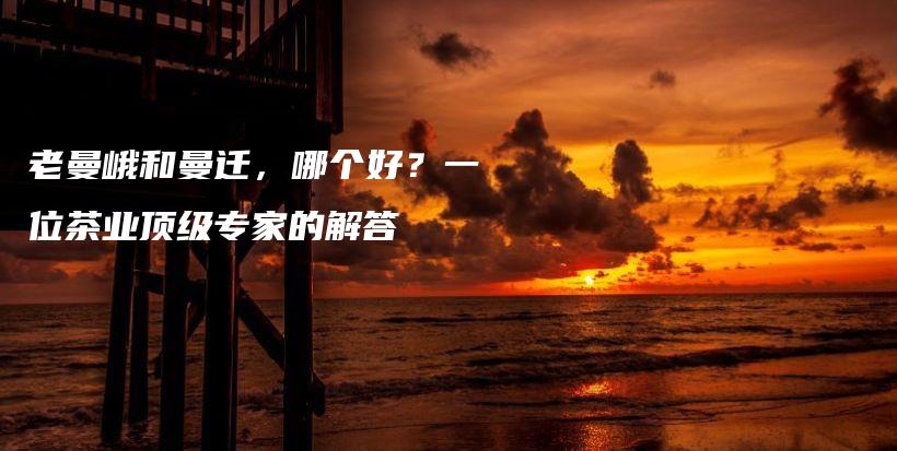 老曼峨和曼遷，哪個(gè)好？一位茶業(yè)頂級(jí)專(zhuān)家的解答插圖