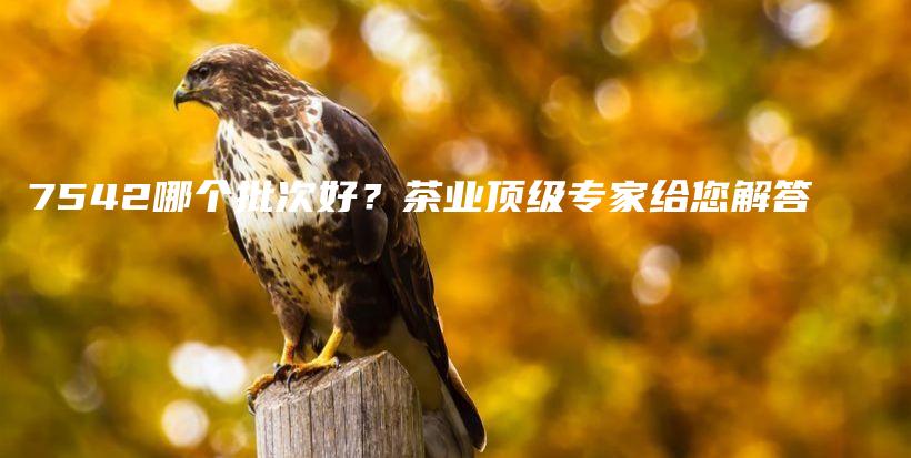 7542哪個(gè)批次好？茶業(yè)頂級專家給您解答插圖