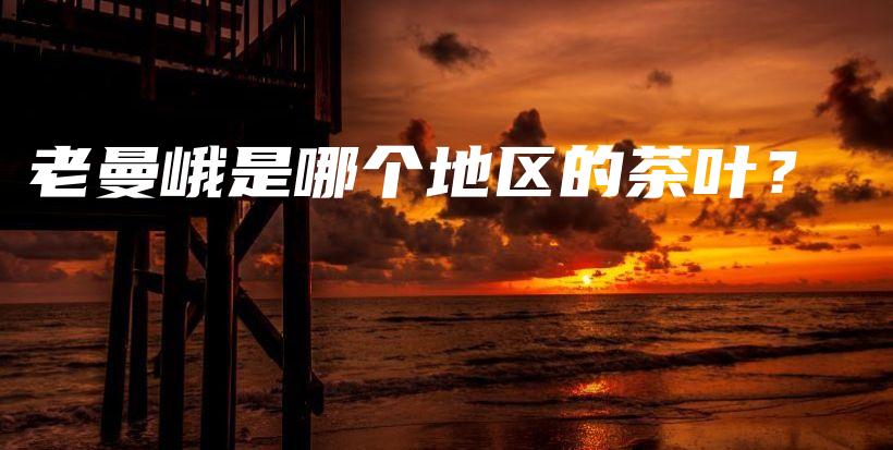 老曼峨是哪個地區(qū)的茶葉？插圖