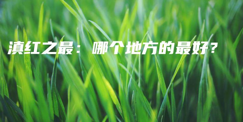滇紅之最：哪個地方的最好？插圖