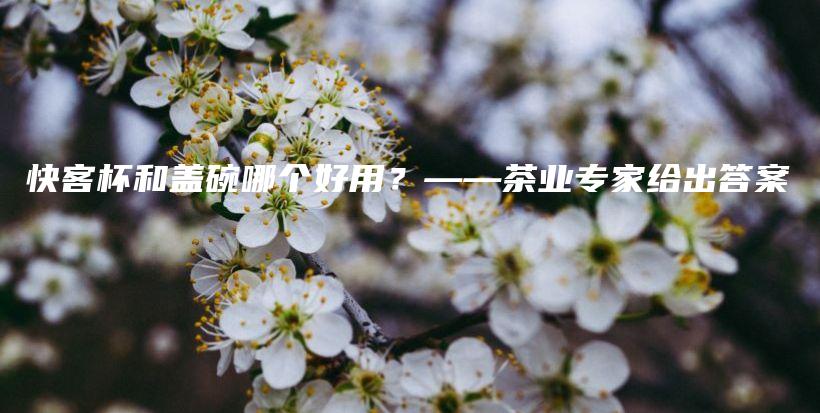 快客杯和蓋碗哪個好用？——茶業(yè)專家給出答案插圖