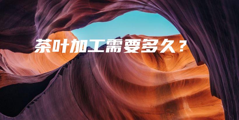 茶葉加工需要多久？插圖