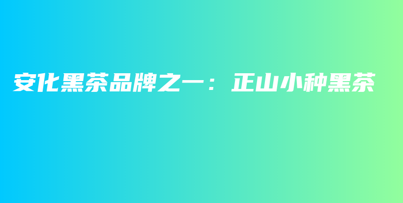 安化黑茶品牌之一：正山小種黑茶插圖
