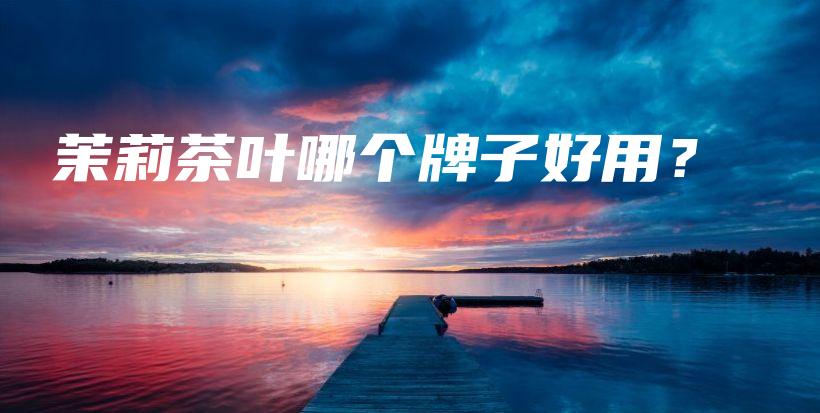 茉莉茶葉哪個牌子好用？插圖