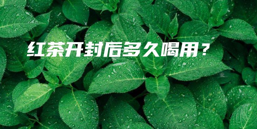 紅茶開封后多久喝用？插圖