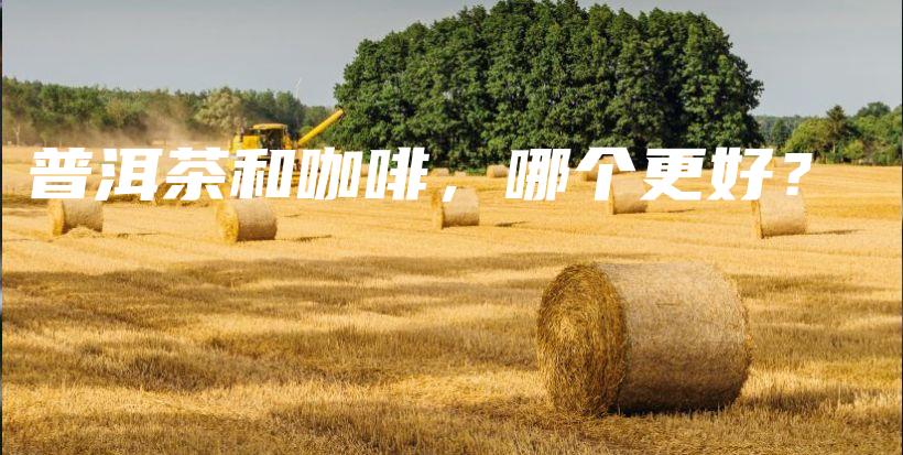 普洱茶和咖啡，哪個(gè)更好？插圖