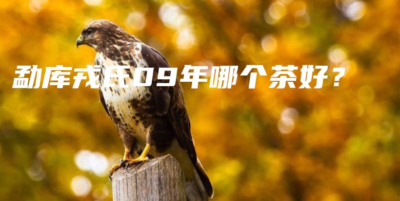 勐庫(kù)戎氏09年哪個(gè)茶好？插圖
