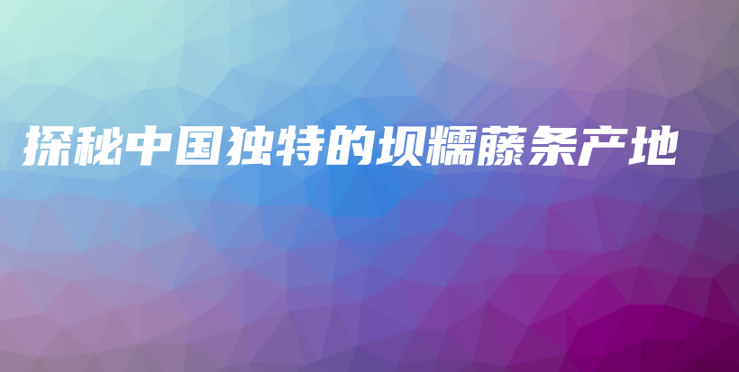 探秘中國獨特的壩糯藤條產(chǎn)地插圖