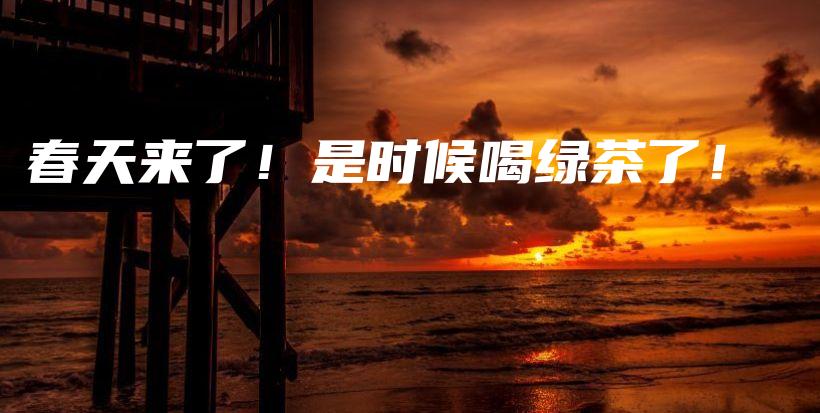 春天來(lái)了！是時(shí)候喝綠茶了！插圖
