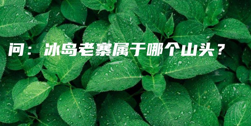 問：冰島老寨屬于哪個山頭？插圖