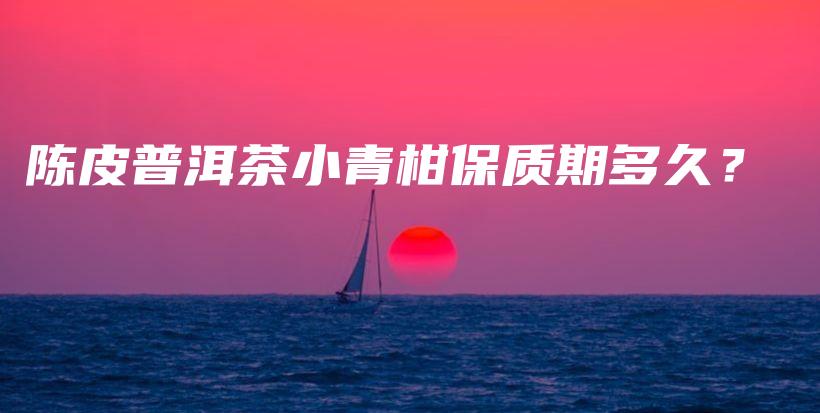 陳皮普洱茶小青柑保質(zhì)期多久？插圖