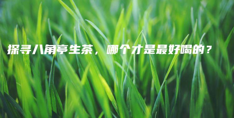 探尋八角亭生茶，哪個(gè)才是最好喝的？插圖