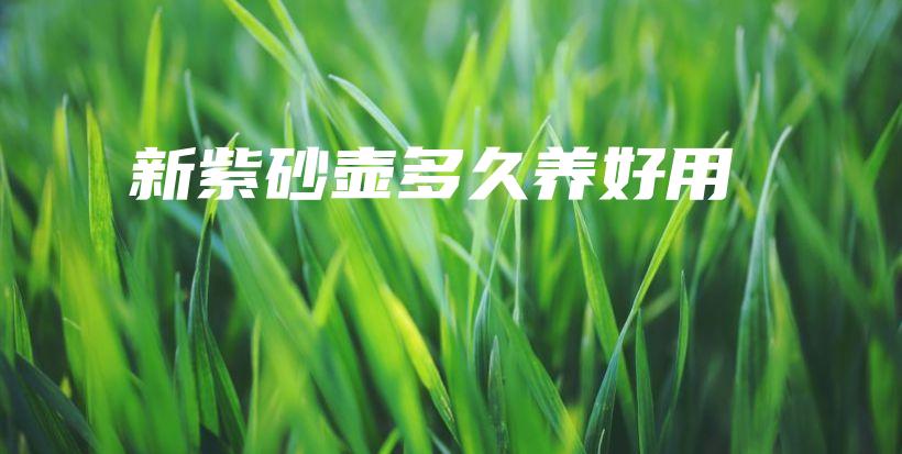新紫砂壺多久養(yǎng)好用插圖
