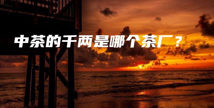 中茶的千兩是哪個(gè)茶廠？插圖