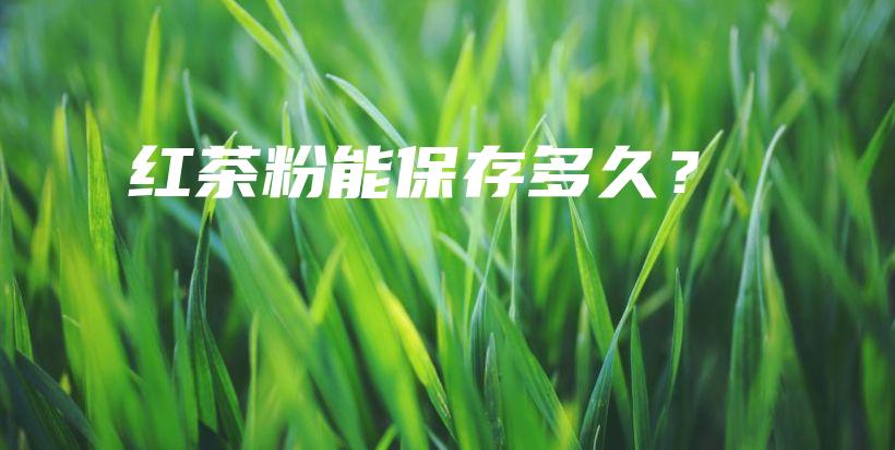 紅茶粉能保存多久？插圖