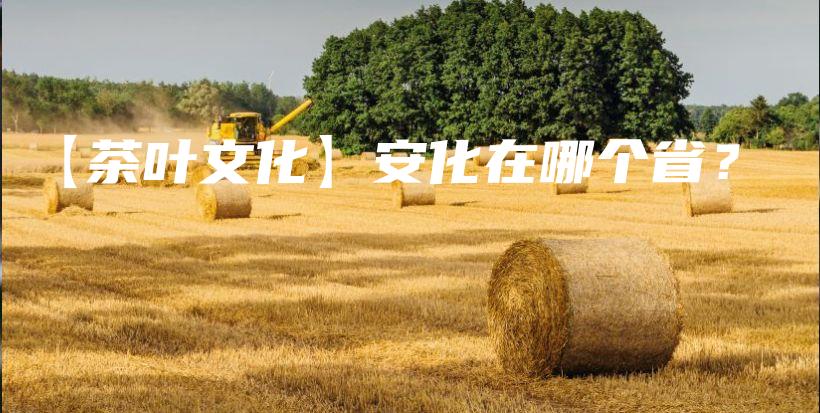 【茶葉文化】安化在哪個(gè)省？插圖