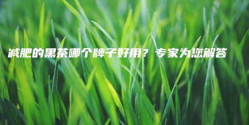 減肥的黑茶哪個(gè)牌子好用？專家為您解答插圖