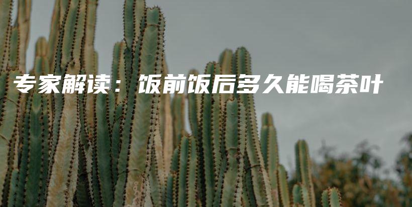 專家解讀：飯前飯后多久能喝茶葉插圖