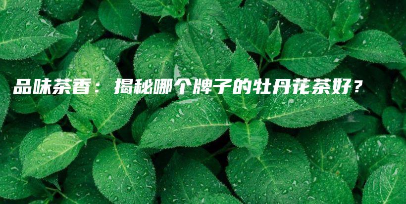 品味茶香：揭秘哪個(gè)牌子的牡丹花茶好？插圖