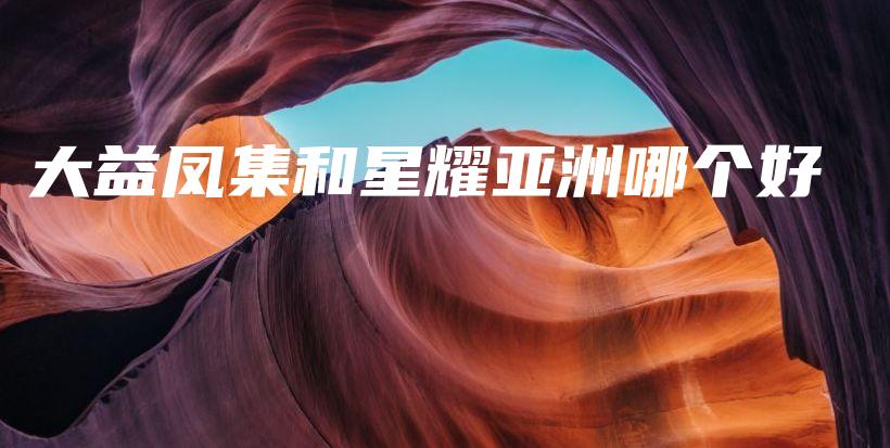 大益鳳集和星耀亞洲哪個(gè)好插圖