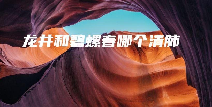 龍井和碧螺春哪個(gè)清肺插圖
