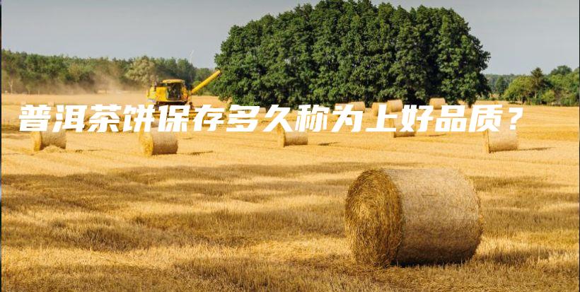 普洱茶餅保存多久稱為上好品質(zhì)？插圖