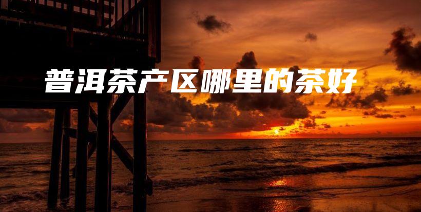 普洱茶產(chǎn)區(qū)哪里的茶好插圖
