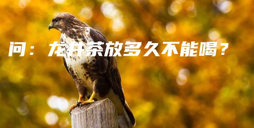 問(wèn)：龍井茶放多久不能喝？插圖
