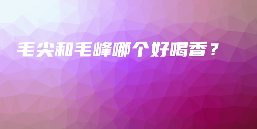 毛尖和毛峰哪個好喝香？插圖