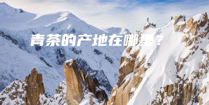 青茶的產地在哪里？插圖