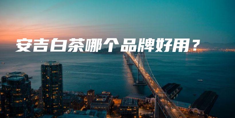安吉白茶哪個品牌好用？插圖