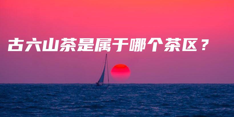 古六山茶是屬于哪個茶區(qū)？插圖