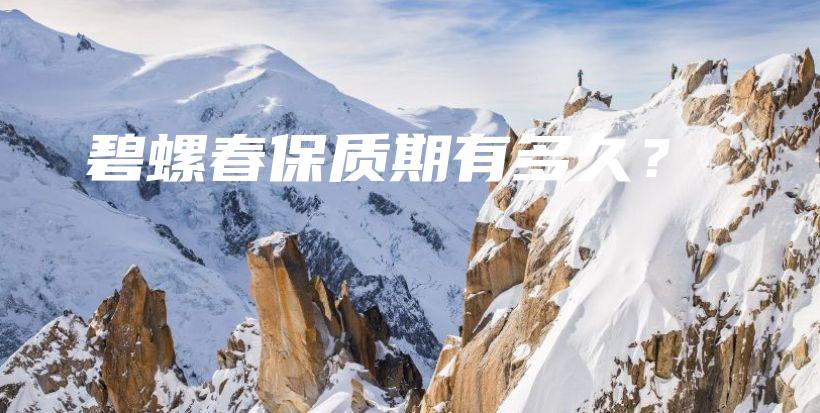 碧螺春保質(zhì)期有多久？插圖