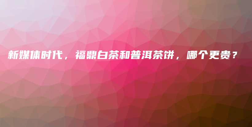 新媒體時代，福鼎白茶和普洱茶餅，哪個更貴？插圖