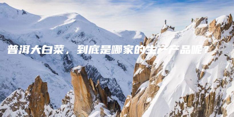普洱大白菜，到底是哪家的生產(chǎn)產(chǎn)品呢？插圖