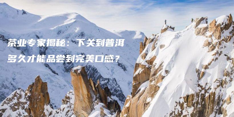 茶業(yè)專家揭秘：下關到普洱多久才能品嘗到完美口感？插圖