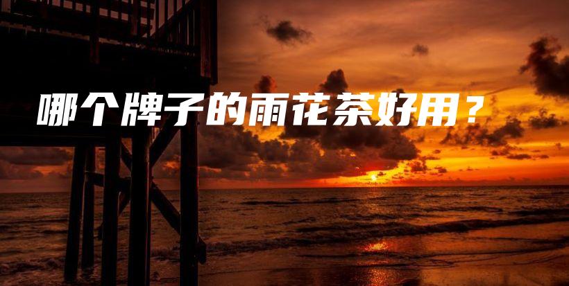哪個(gè)牌子的雨花茶好用？插圖