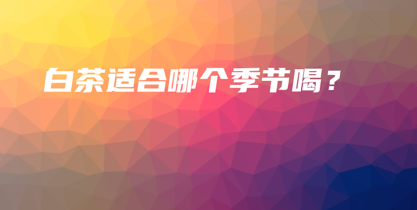 白茶適合哪個(gè)季節(jié)喝？插圖