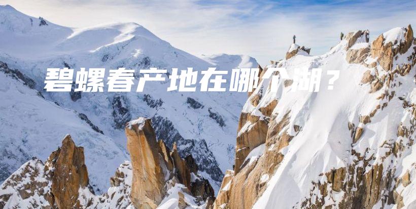 碧螺春產(chǎn)地在哪個(gè)湖？插圖
