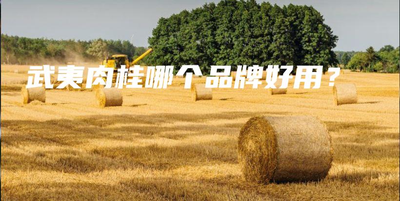 武夷肉桂哪個(gè)品牌好用？插圖