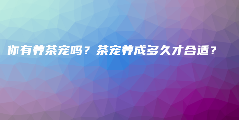 你有養(yǎng)茶寵嗎？茶寵養(yǎng)成多久才合適？插圖