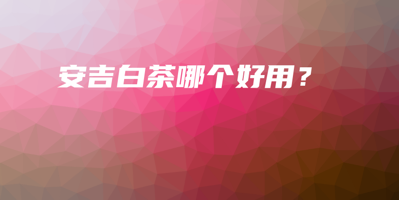 安吉白茶哪個(gè)好用？插圖