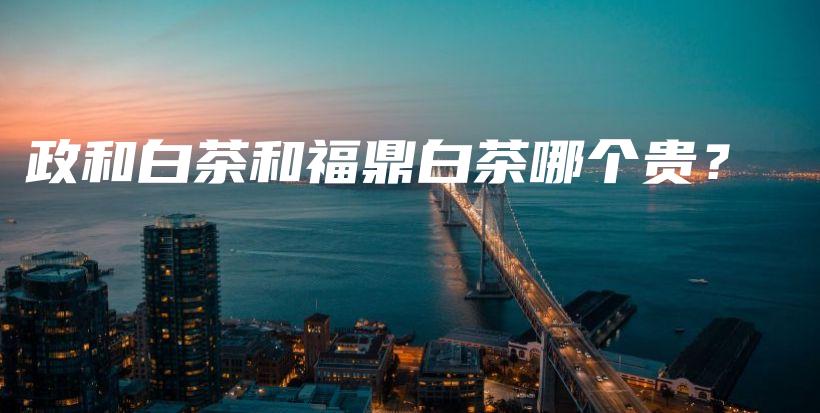 政和白茶和福鼎白茶哪個貴？插圖